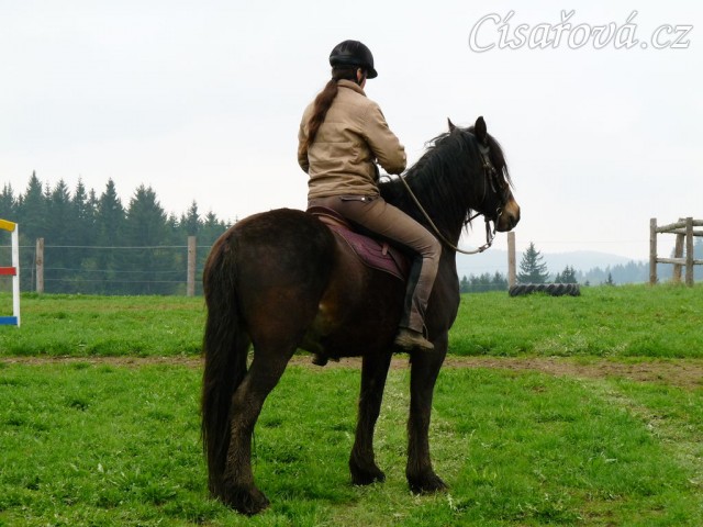 Ježdění na jízdárně, nastoupení