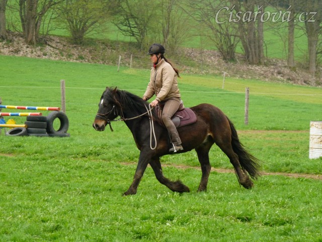 Ježdění na jízdárně, klus...