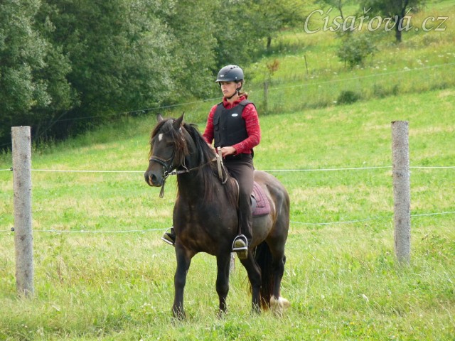 Ježdění na jízdárně, zastavování