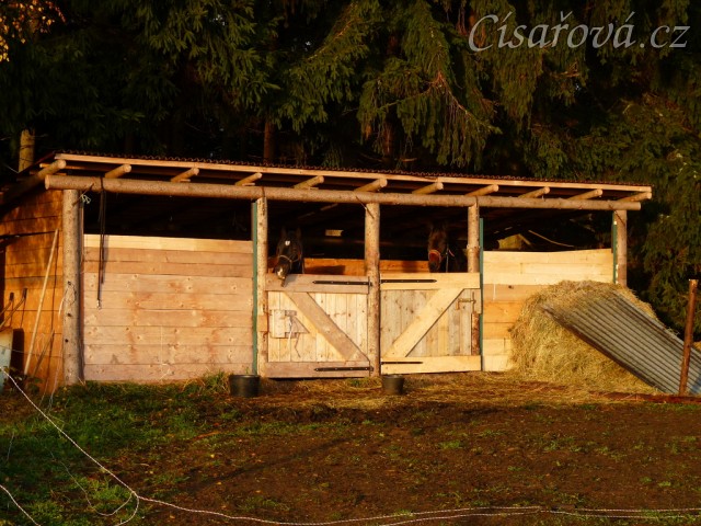 K dispozici máme dva venkovní boxy