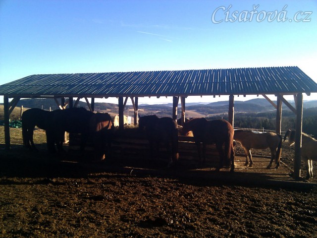 Nový zastřešený krmelec na seno s podlahou
