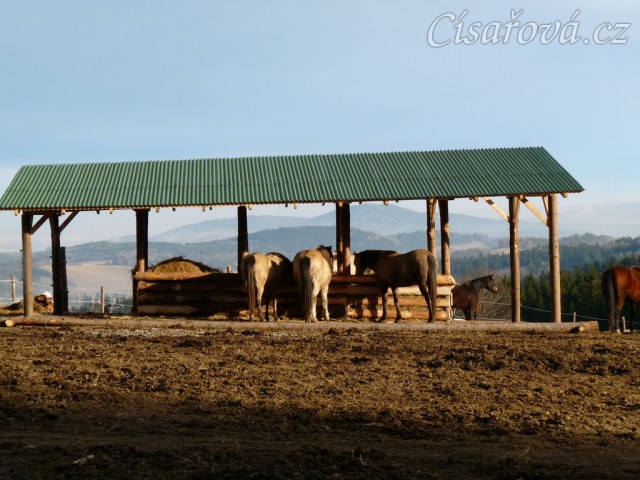 Nový zastřešený krmelec na seno s podlahou