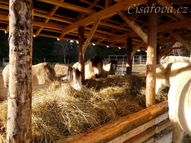 Nový zastřešený krmelec na seno s podlahou