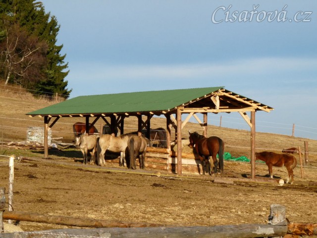Nový zastřešený krmelec na seno s podlahou
