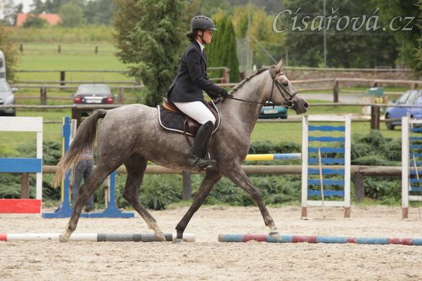 Vesna, tříletá klisna ČT