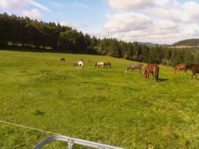 Webkamera umístěná na nádrži s vodou