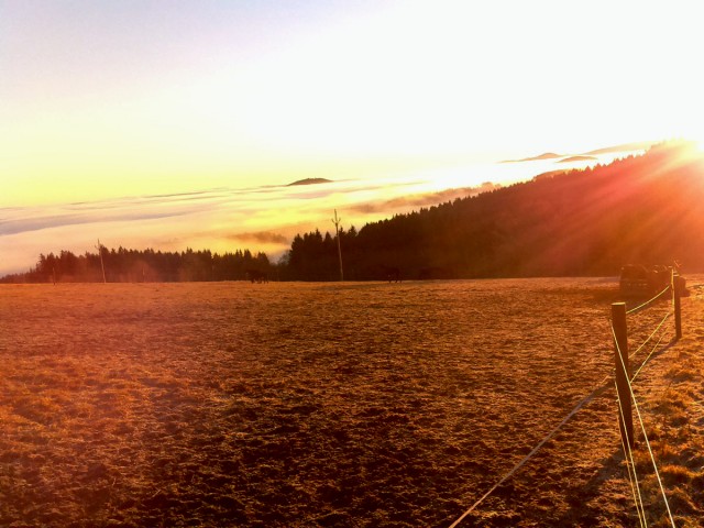 Webkamera mířící na zimní výběh