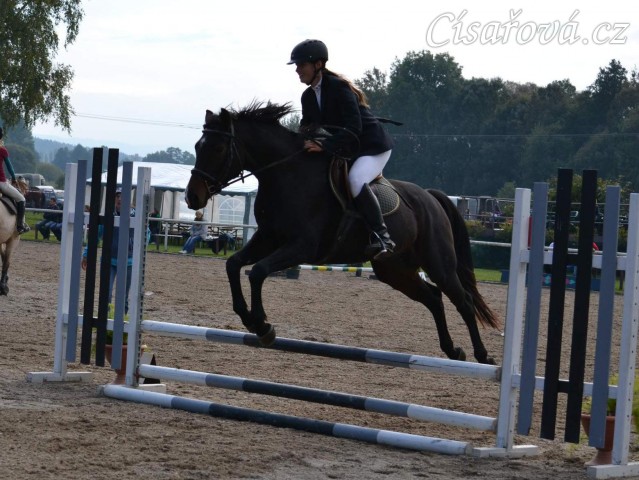 Fivitas Dei, pětiletá klisna ČT