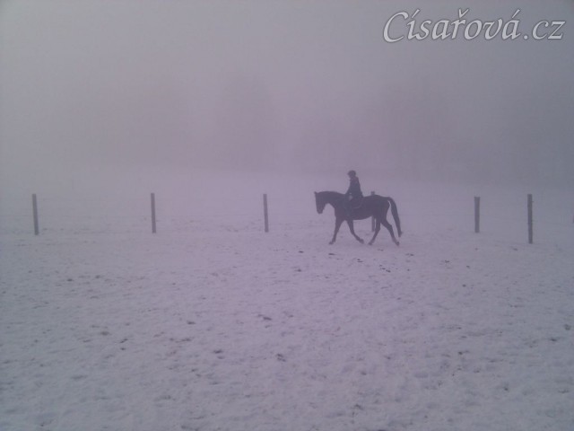 Mlžná jízdárna - naše Agáta se na stará kolena vrhla na učení dětí:-)