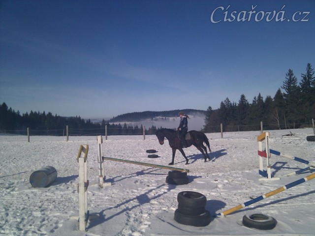 Zimní jízdárna s mlhou v pozadí