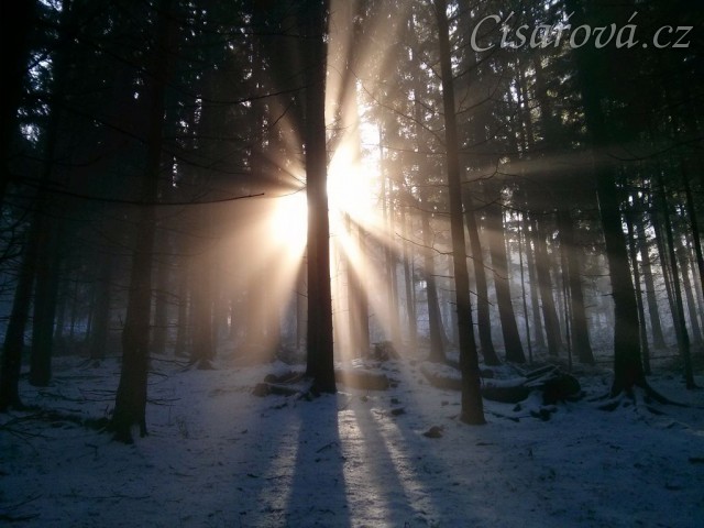 Mlžné vyjížďky...