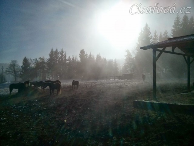 Mlžné slunce...