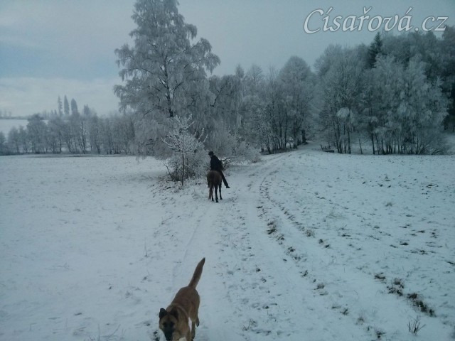 Zimní vyjížďka...
