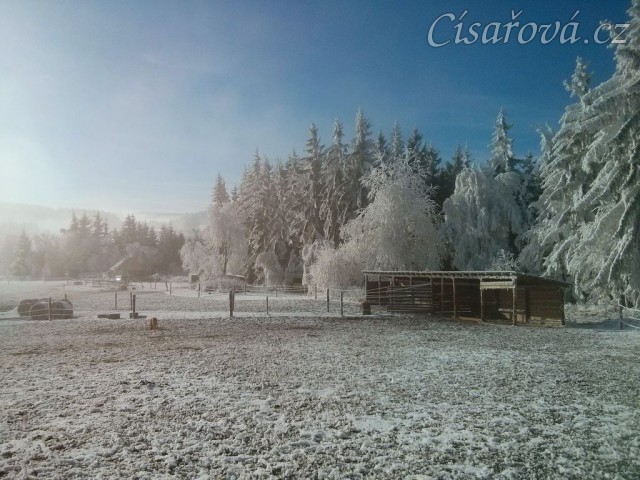 Mlha odešla, námraza zůstala:-)
