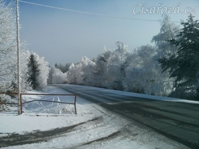Mlha odešla, námraza zůstala:-)