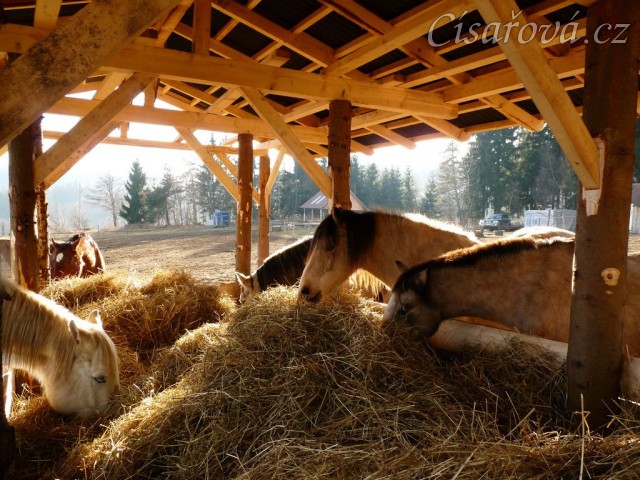 Nový krmelec na seno se střechou a podlahou