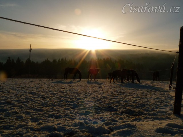 Ranní slunce nad mlhou
