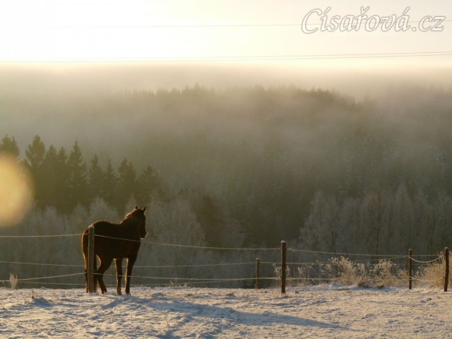 Mlha se valí přes kopce...