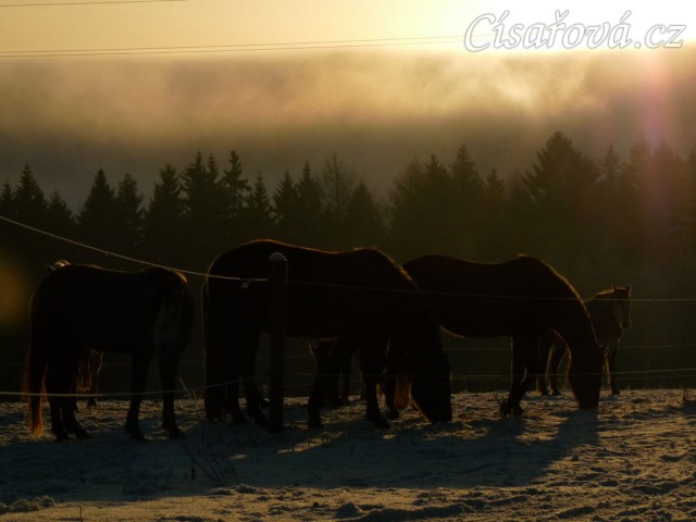 Mlha se valí přes kopce...