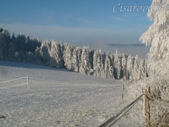 Vše je omrzlé z mlhy