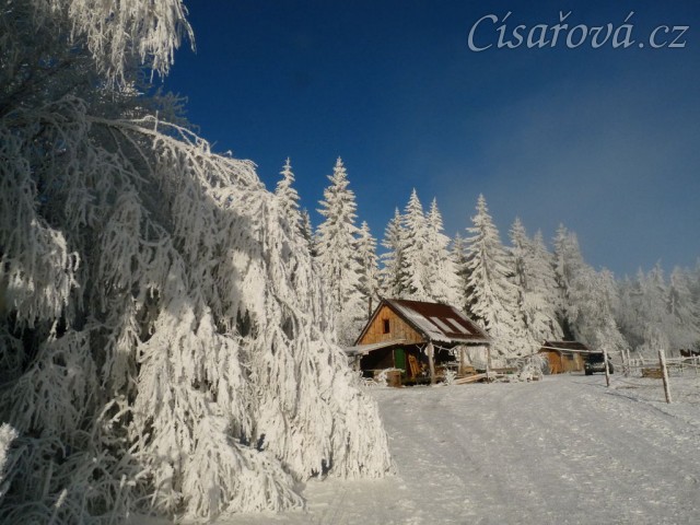 Vše je omrzlé z mlhy