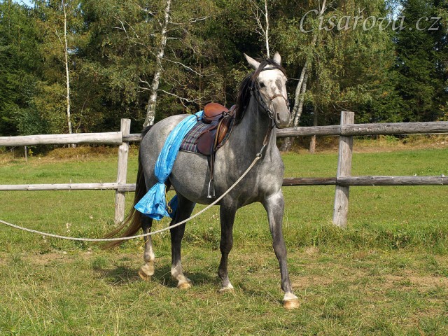 Krátce po obsednutí - s plachtou