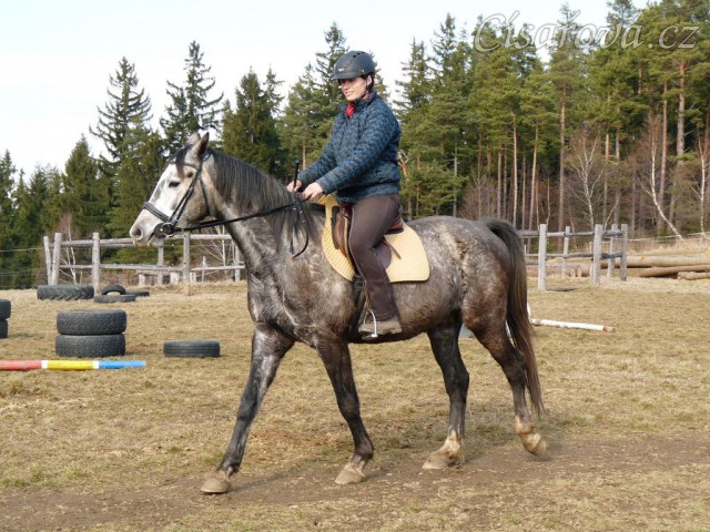 Březen 2014 - po základním výcviku, krok