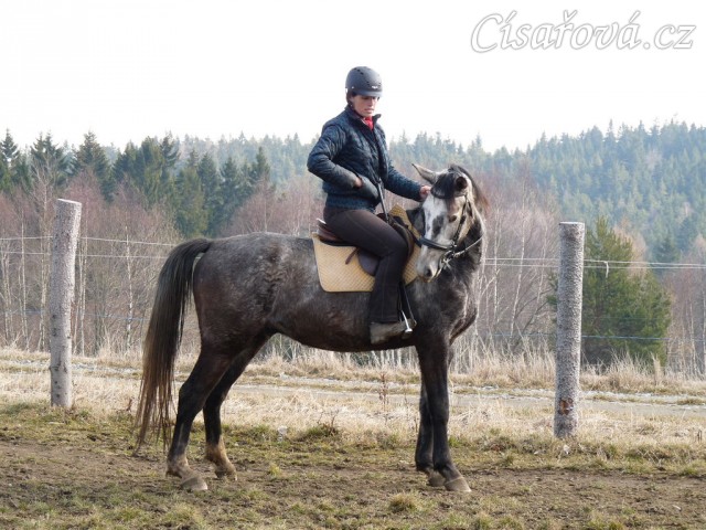 Březen 2014 - po základním výcviku, odměna