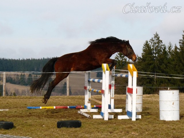 Skákání ve volnosti jaro 2014 - 130cm