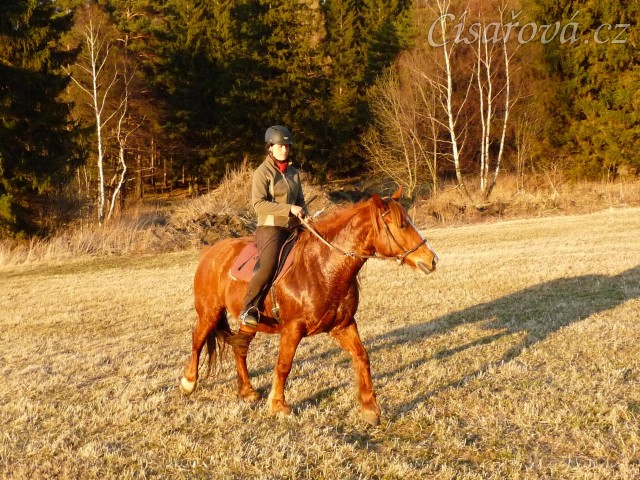Pauza na vyjížďce, březen 2014