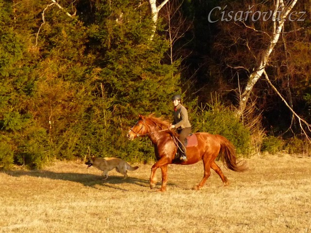 Pauza na vyjížďce, březen 2014