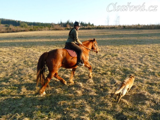 Pauza na vyjížďce, březen 2014