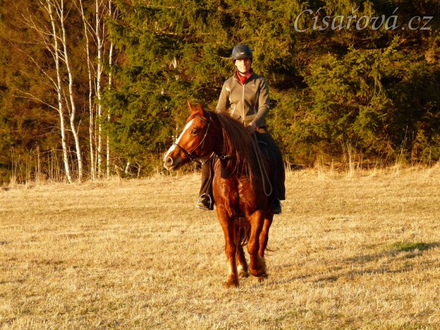 Pauza na vyjížďce, březen 2014
