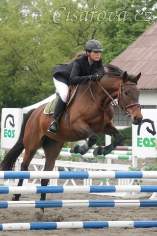 Ascara na závodech v Plzni, květen 2014, parkury ZM a Z