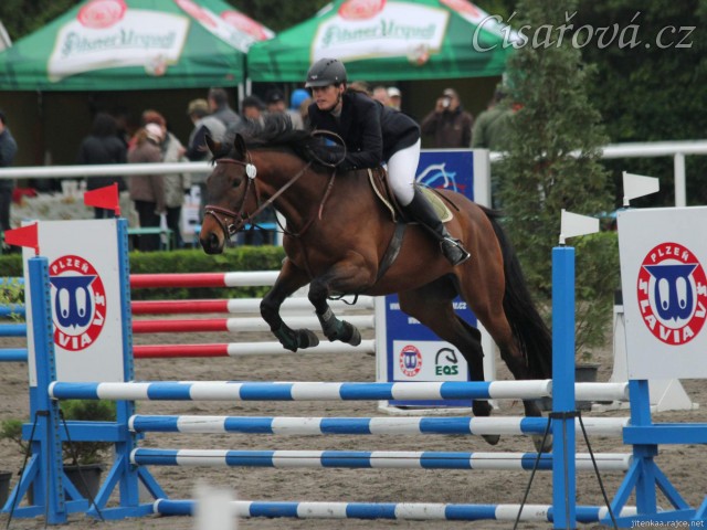 Ascara na závodech v Plzni, květen 2014, parkury ZM a Z