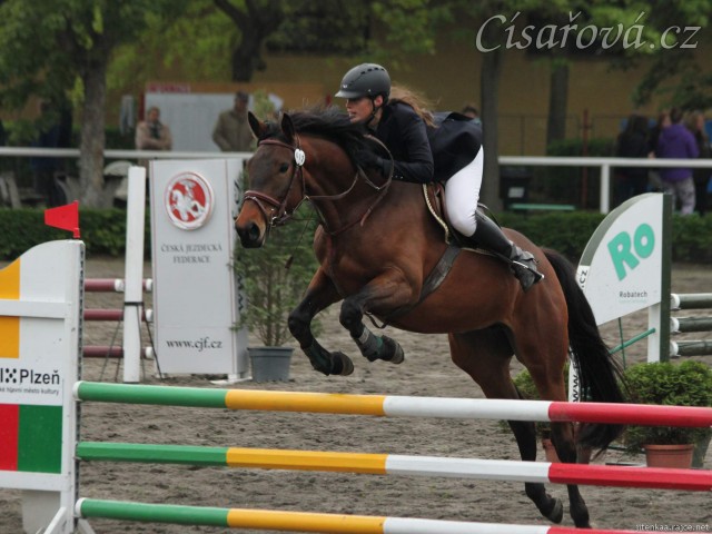 Ascara na závodech v Plzni, květen 2014, parkury ZM a Z