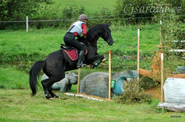 Všestrannost Borová, Arwen a Radka Císařová, soutěž ZL