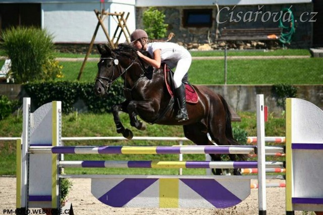 Parkury Klatovy, Arwen a Radka Císařová, soutěž ZL