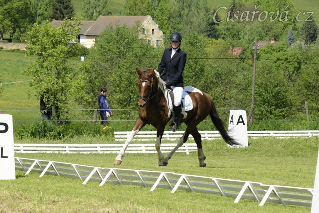 Všestrannost Borová, Vikina a Adéla Císařová, soutěž L