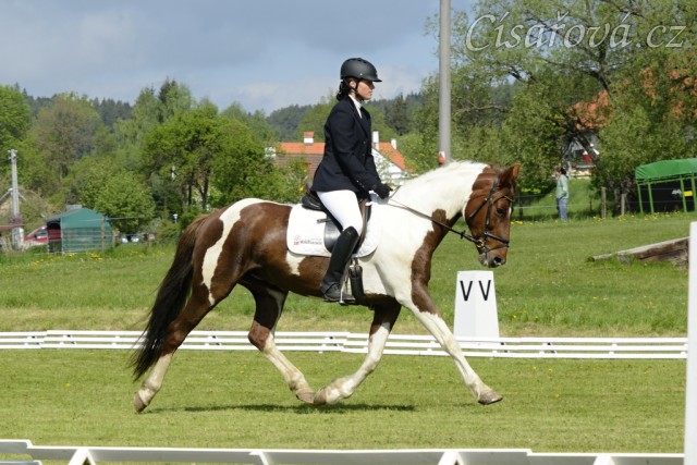 Všestrannost Borová, Vikina a Adéla Císařová, soutěž L