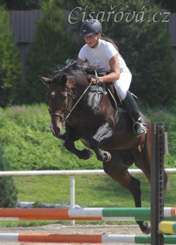 Parkury Klatovy, Fivitas Dei a Adéla Císařová, první parkur kobylky, která je u nás ve sportovním výcviku. Foto Jitka Kreidlová