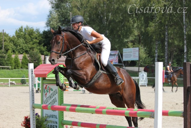 Parkury Klatovy, Royal Lily a Adéla Císařová, soutěž Z (Lily byla u nás ve sportovním výcviku). Foto Jitka Kreidlová