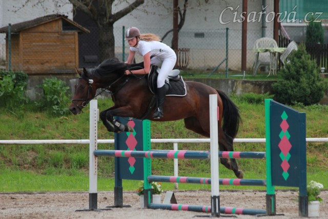 Parkury Klatovy, Royal Lily a Radka Císařová, soutěž Z (Lily byla u nás ve sportovním výcviku). Foto Jitka Kreidlová