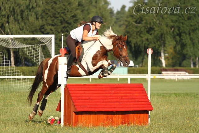 Všestrannost Kolesa, Vikina a Adéla Císařová, soutěž L