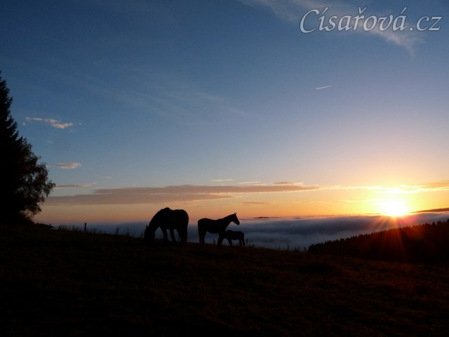 Podzimní východ slunce a stádo hřebců