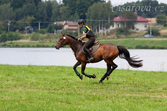 Ascara na KMK ve všestrannosti Humpolec, červenec 2014, všestrannost ZK