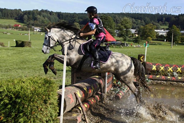 28.9.2014 - Členka našeho klubu, dvanáctiletá Michaela Haderková a její klisna Alpinhorse Midnight Princess, která byla u nás přes rok ve výcviku, získaly 5. místo na MČR pony ve všestrannosti