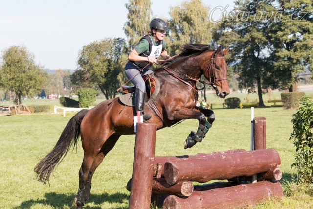 Ascara, všestrannost stupně Z, Humpolec 28.9.2014