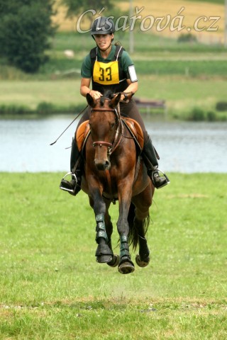 Ascara, KMK čtyřletých koní ve všestrannosti (ZK), Humpolec 18.7.2014