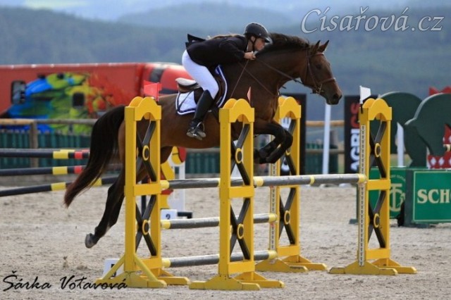Ascara, KMK čtyřletých koní ve skocích (ZL), Zduchovice 20.8.2014
